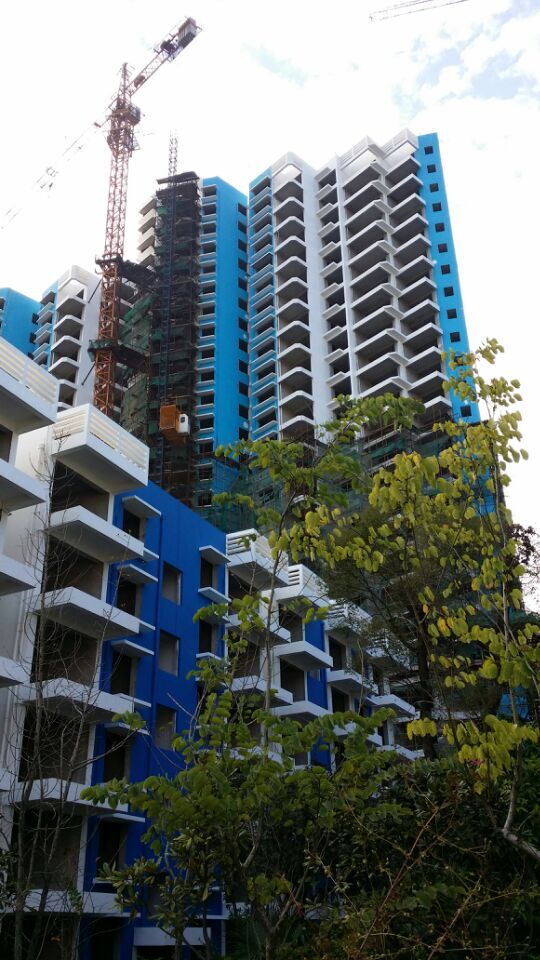 桂林漓江藍(lán)灣外墻涂料裝飾工程(55) - 廣西三象建筑安裝工程有限公司 m.dygangyou.com